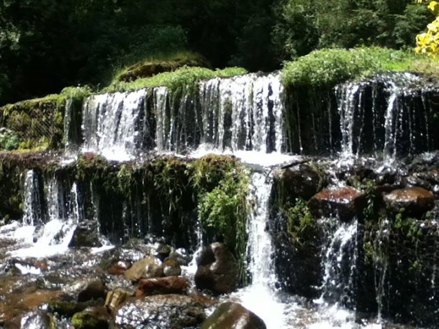 naturaleza de mexico